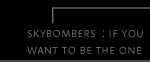 skybombers if you want to be the one video